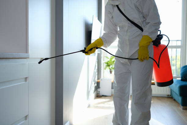 Best Emergency Mold Remediation  in Fallon, NV